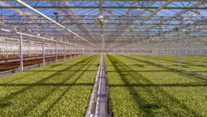 New Project Aims to Truly Measure CEA Industry’s Footprint