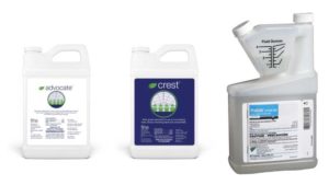 The Latest in Plant Growth Regulator Options for Ornamentals