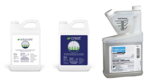 The Latest in Plant Growth Regulator Options for Ornamentals