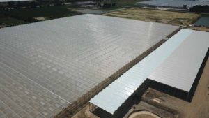 A Closer Look at Recent Expansion Projects in the Greenhouse Market