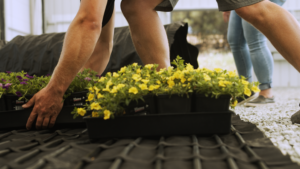 Root zone heating that rolls out like a carpet