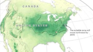 Massive Shifts of Life Seen in Future Climate Maps
