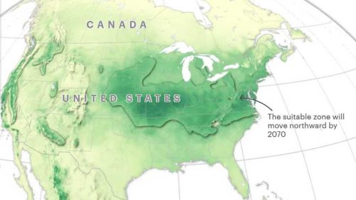 Massive Shifts of Life Seen in Future Climate Maps