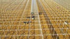 Fresh Greenhouse Vegetable Production Exploding in Appalachia