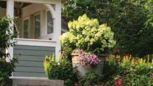 The Top Trends Driving Perennials and Shrub Sales