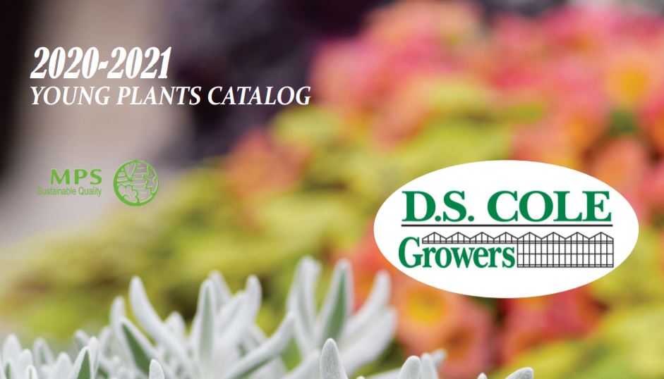 D.S. Cole Growers New Varieties for 2021