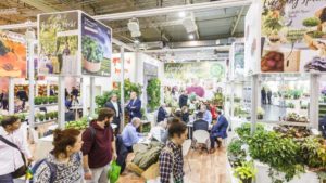 Major European Horticulture Event Cancelled for 2021