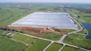 Mid-American Growers Forms Partnership to Boost Cannabis Education in the Midwest