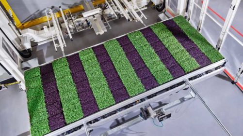 Leading Vertical Farming Company Names Agritech Veteran as New CEO