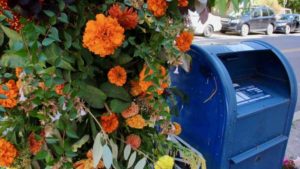 A Unique Way Growers Can Use Unsold Floral Inventory