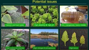 Watch and Learn to Solve Chemical Issues in Greenhouse Irrigation Water