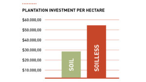 Is hydroponics profitable?