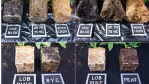 Breaking Down Wood Substrates for Container-Grown Plants