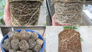 Growing Media in Focus at 2021 Michigan Greenhouse Growers Expo