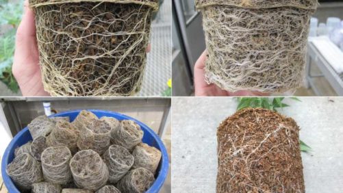 Growing Media in Focus at 2021 Michigan Greenhouse Growers Expo