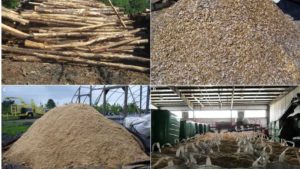 Where Growing Media Industry Will Go in a Post-Pandemic World