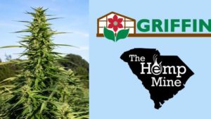 Horticulture Products Distributor Griffin Partners With Hemp Genetics Company