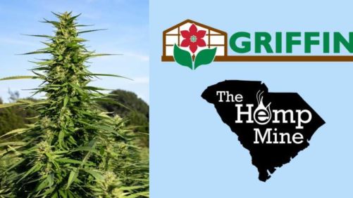 Horticulture Products Distributor Griffin Partners With Hemp Genetics Company