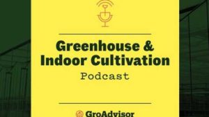 New Podcast Offers Tips on Facility Design and Best Greenhouse Practices