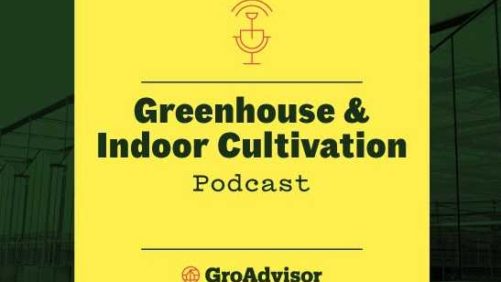 New Podcast Offers Tips on Facility Design and Best Greenhouse Practices