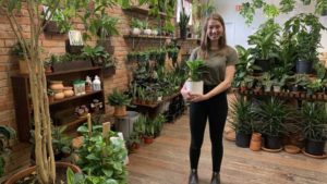 How Plant Leasing Has Become a Viable Business Model for One Retailer