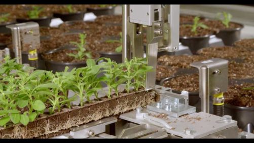 Bellpark Horticulture Adds New Sales Rep for Southeast U.S.