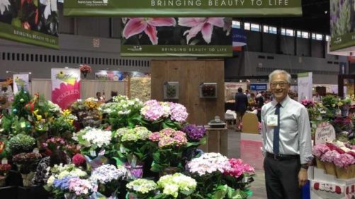 Syngenta Flowers Expands Hydrangea, Succulent Offerings