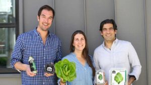 A Look Back at Greenhouse Grower’s December 2020 Issue