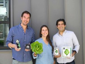 2020 Operation of the Year Winner: Gotham Greens