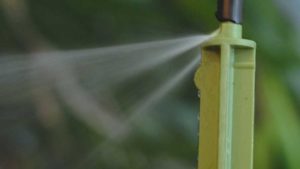 Water Report Aims to Quantify Cannabis Irrigation Needs