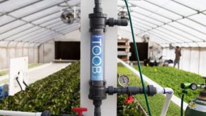 Dissolved oxygen the easy way