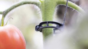 Pushing Toward More Eco-Friendly Plant Production Tools