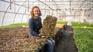 Two Leading Growers on the Power of Plant Certification