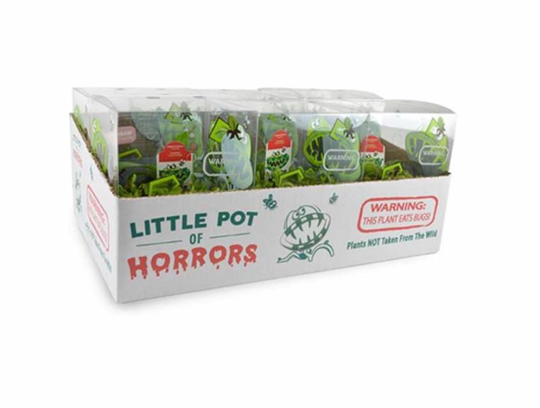 6-Inch Carnivorous Garden in a Monster Box (Flori-Design)