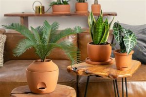 Artisan Collection (Urban Jungle)