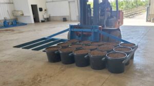 Why Your Greenhouse Containers Should be Automation-Compatible