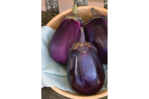 Eggplant (Meatless Monday Garden)