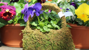 Griffin Announces Gro Group Distributors Membership