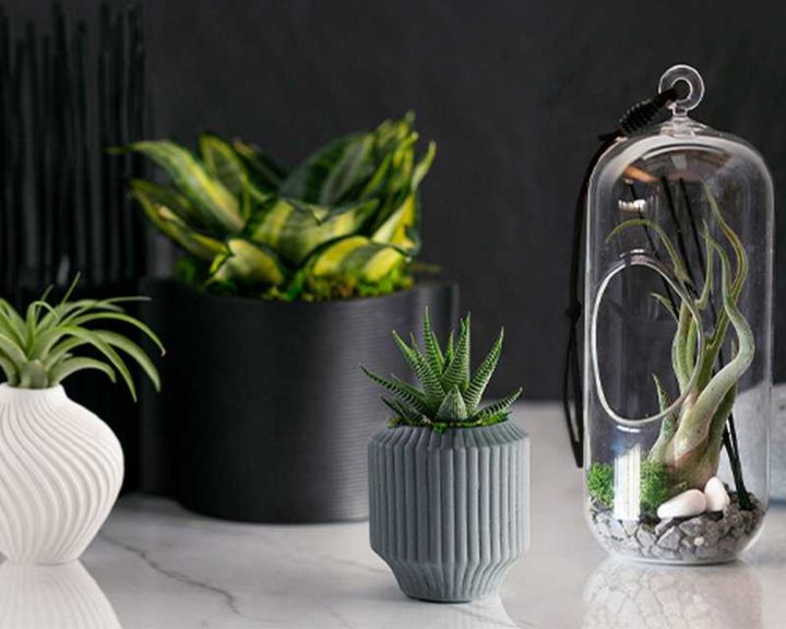 Minimalist Collection (LiveTrends Design Group)