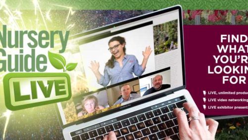 Get Expert Advice on Supply Chain Logistics and Online Marketing