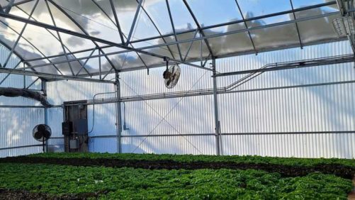 Hot Stuff! 2022 Was the Planet’s 6th Warmest Year on Record