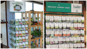 National Garden Bureau Hosts Virtual SeedFacts Panel Discussion