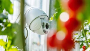 U.S.-Based Team Takes Early Lead in Third Autonomous Greenhouse Challenge