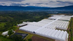Danziger Guatemala Hits Environmental Certification Milestone