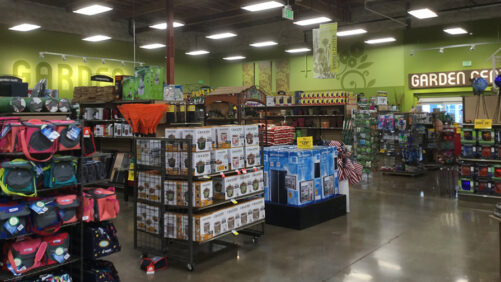 Why Google Ignores You and How To Fix That for Your Horticulture Business