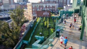 New Grower Partnership Aims to Boost Produce Education