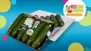 Why Greenhouse Cucumber Popularity Continues To Grow