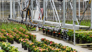 Get the Most Out of Your Greenhouse Sprayers