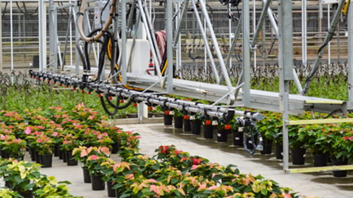 Get the Most Out of Your Greenhouse Sprayers