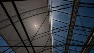 Optimizing Systems for Cannabis Greenhouses